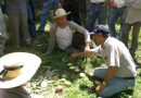 Investigador UAQ destaca en ranking internacional de agronomía